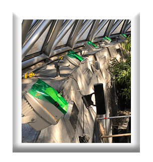 Old Lighting Fixtures at the Bloedel Conservatory